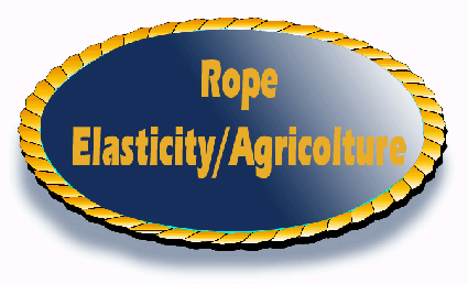 rope elasticity.gif (29444 byte)